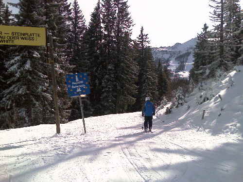 Ski Steinplatte