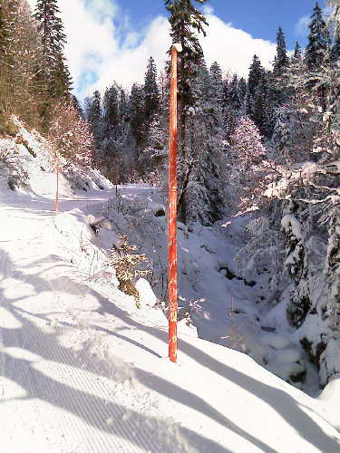 Ski Bilder